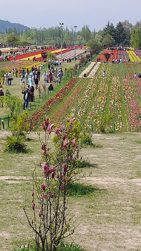 Gallery image 12