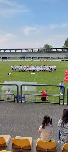 Pata Stadium - Visual