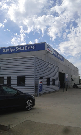 DAF Garatge Selva Diesel (Delegació Llers) - Thumbnail
