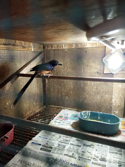 Photos of Toko MBRK