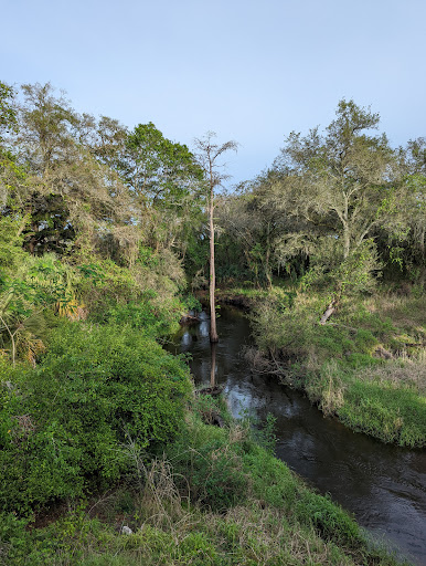 Historic Tampa Gulf Coast Railroad Trestle Bridge - Thumbnail
