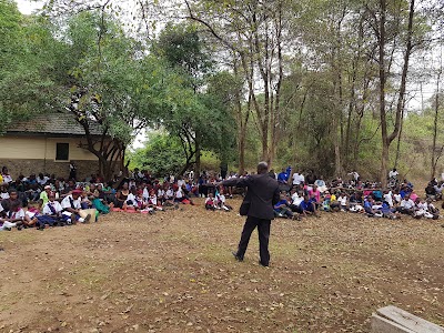 Photos of Impala Park Camping Site