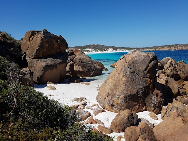 Thistle Cove