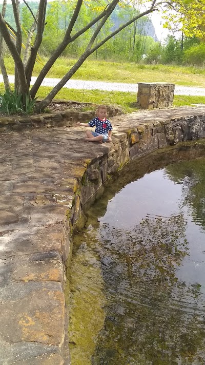 Glencoe Duck Pond