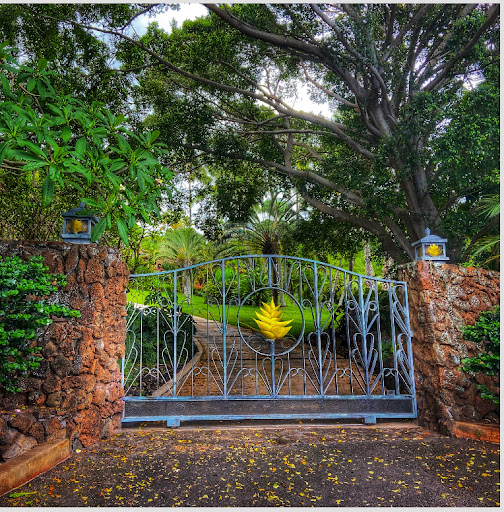 Kokua Academy - Thumbnail