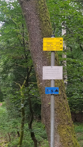 Langensteinchen - Thumbnail