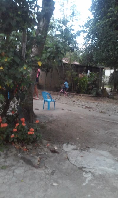 bar