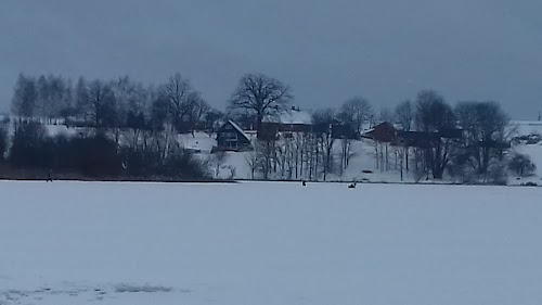 Reki