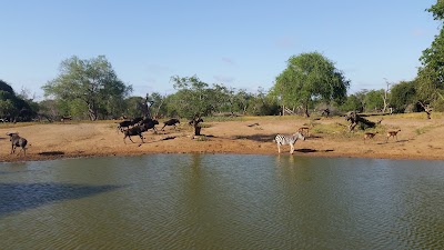 Photos of Mkhuze Game Reserve (Camping Area)