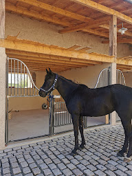 Photo n°7 de Larue Pascal à Verdun (Artisanat)