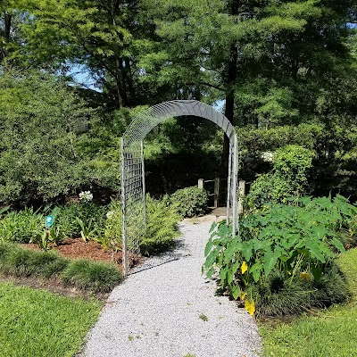 Cohn Arboretum