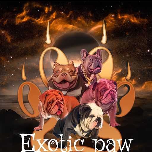 exoticpaw.net Gallery - United States