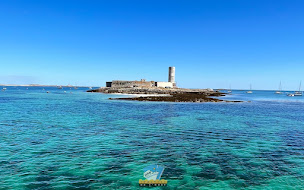 Photo n°32 de Vedettes de l'Odet à Concarneau (Agence d'excursions en bateau)