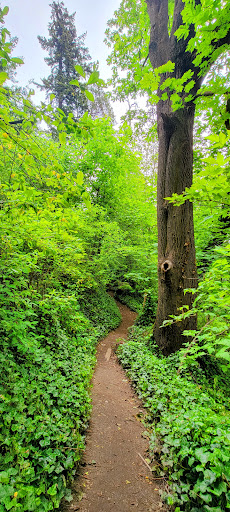 Valley Loop Trail - Visual