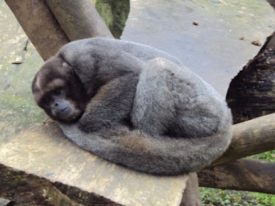 Photos of Zoologico Santacruz
