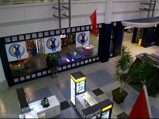 The Bloo Kangaroo Arcade Gallery - United States