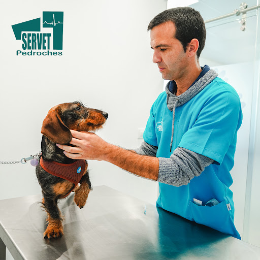 Clínica Servet Pedroches S L