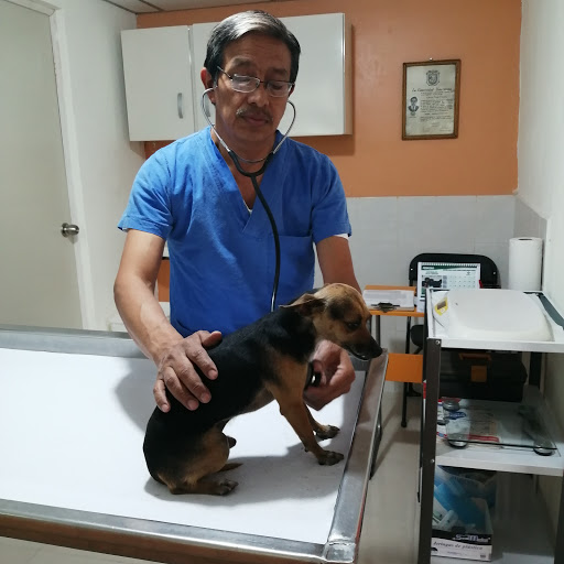Dr. Lázaro