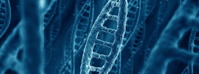 ATG - Access To Genome (Αθήνα)