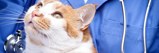 Spence & White Veterinary Hospital