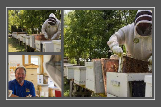The Bee Barn | Honey Farm & Beekeeping Store - Thumbnail