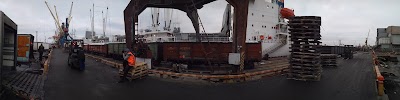 Photos of Sea Fishing Port