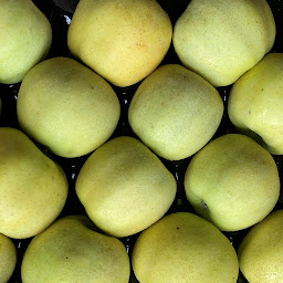 Photo n°22 de Côté champs à Beauvallon (Magasin)