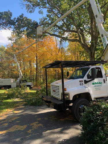 Malec Tree Services