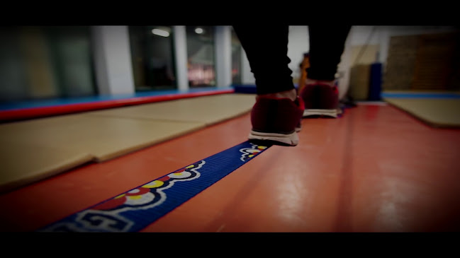 Opinii despre Vertical Reaction în Μελίσσια - Ένωση