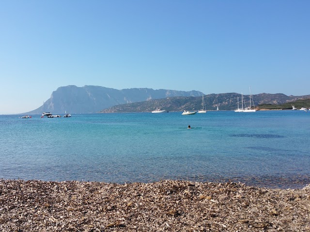 Spiaggia di Capo Coda Cavallo