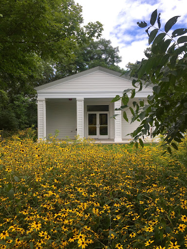 Forest Bluff School - Visual
