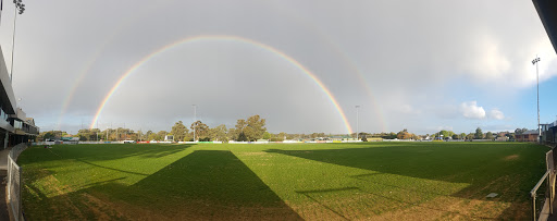 Dower Park - Visual