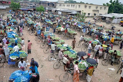 Photos of Mango market