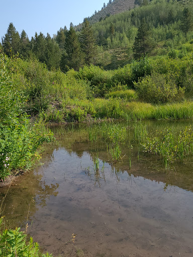 Allred Flat Campground Gallery - United States