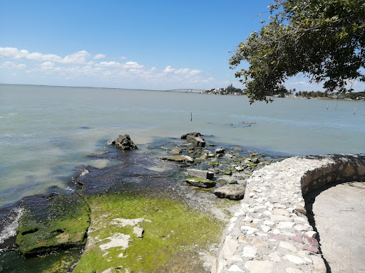 Playa manigua