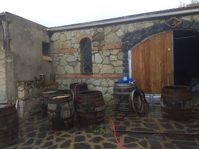 Photos of Village House in Kakheti region