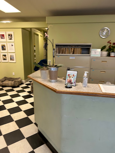 Spa for Pets Gallery - United States
