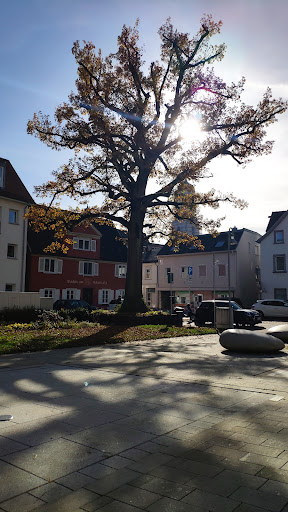 Brunnen - Alter Postplatz - Thumbnail
