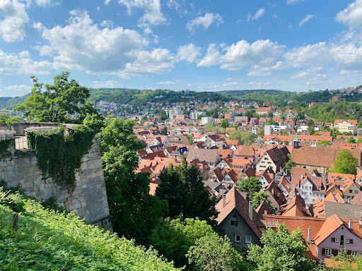 Museum of the University of Tübingen (MUT) - Thumbnail