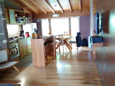 Photos of Apart Amonite