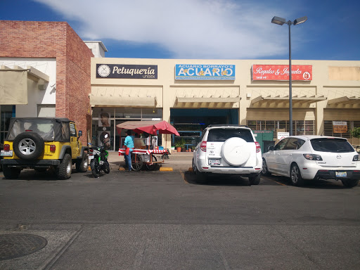 Acuario Borrayos Logo