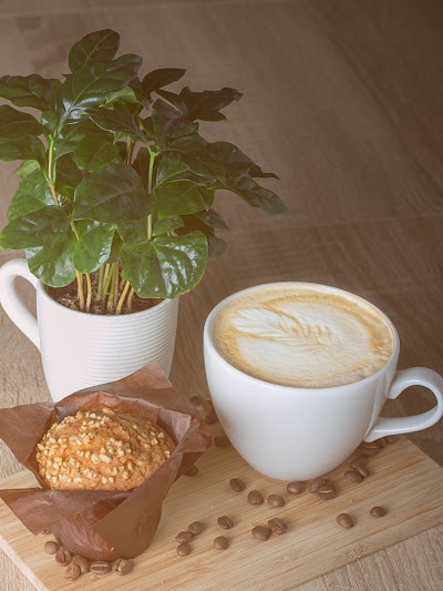 Photos of Anyksciai Cafe Coffee Hill
