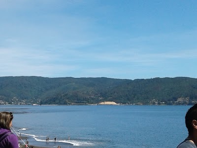 Photos of "Playa Grande De Niebla" Cabins