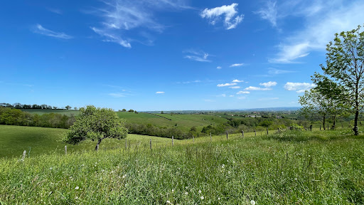 Sabine HENRI Immobilier Rural - Thumbnail