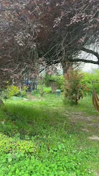 Photo n°8 de Ma Sage s'Honore à Labastide-en-Val (Centre de bien-être)