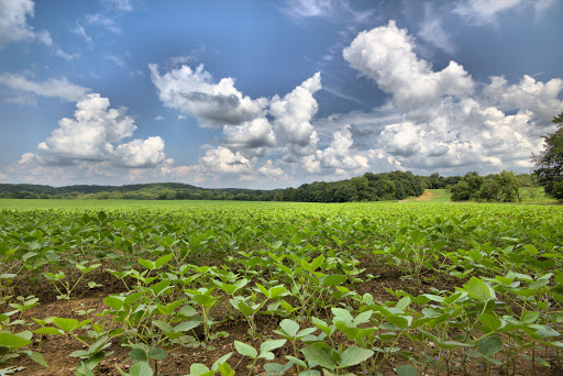 Agri Land Co