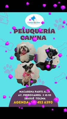 Fotografía de Hospital Veterinario Caninos Y Felinos Vídeos