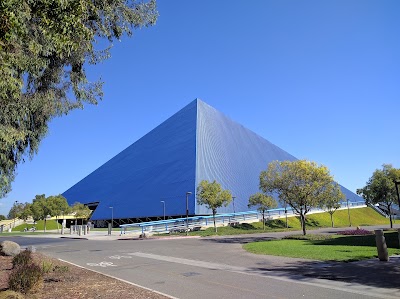 university