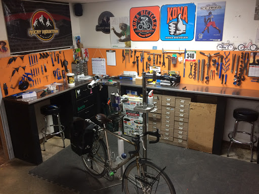 Dutch Cycle - Visual