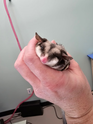 Pickaroon Animal Hospital - Thumbnail